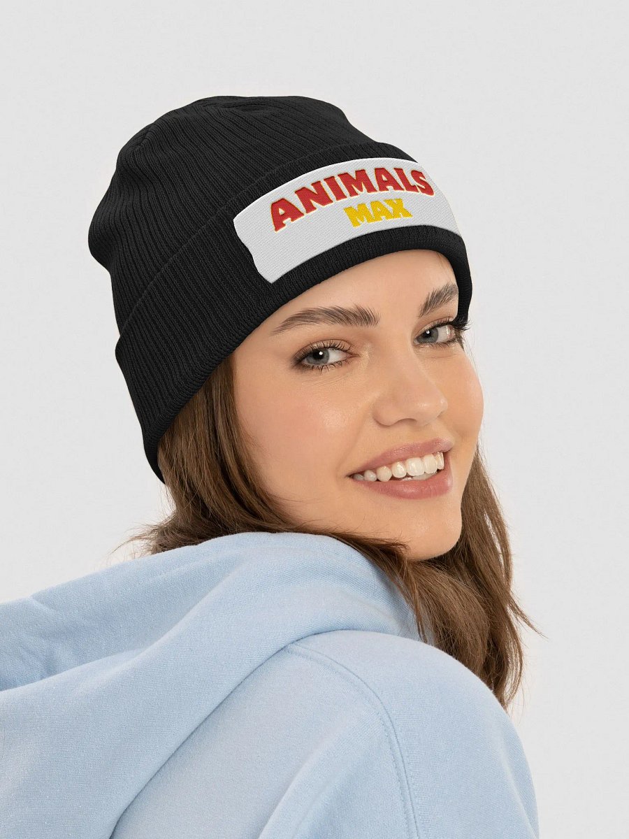 Atlantis Organic Ribbed Knit Hat product image (40)