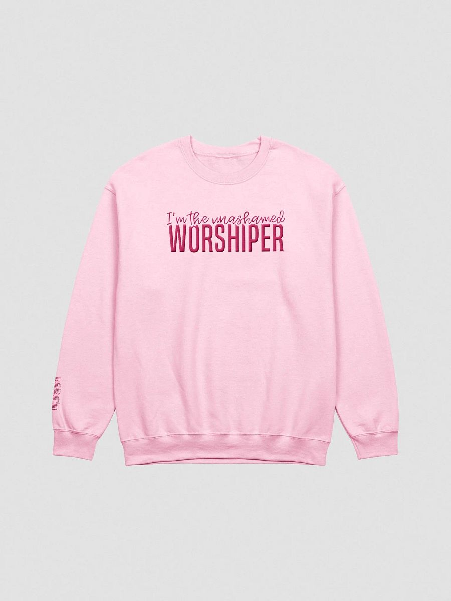 The Unashamed Worshipper Embroidered Sweatshirt- Light Colors product image (4)