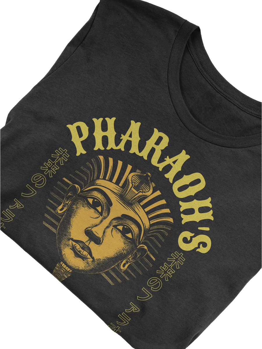 Pharaoh's Legacy Soft Tee product image (47)