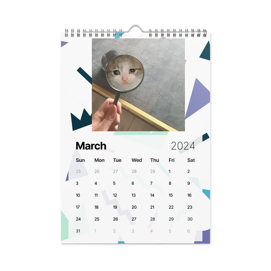 Wall Calendar (2024): Meme Cats product image (13)