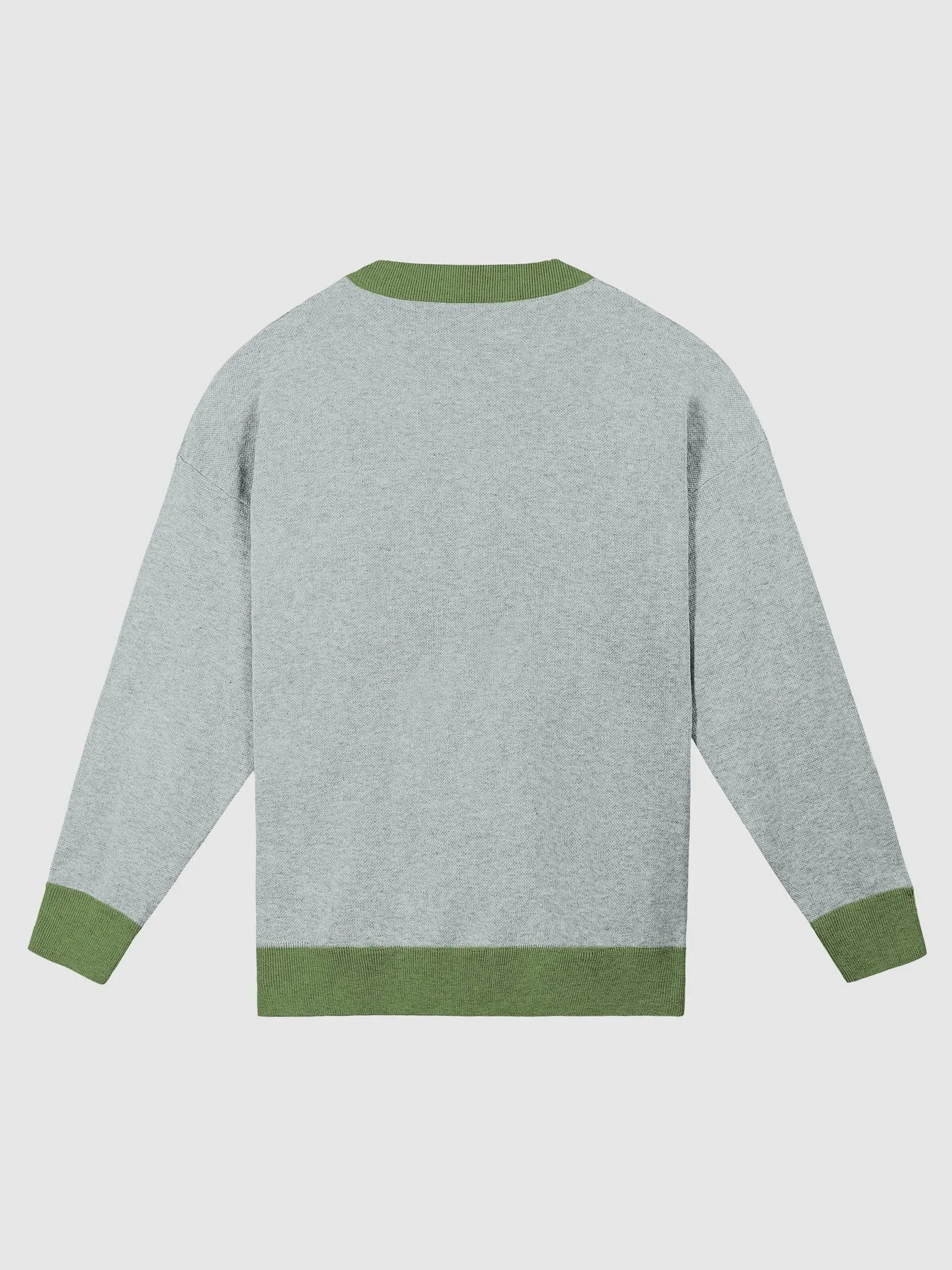 Gecko Garden Relaxed Crewneck Sweater product image (9)
