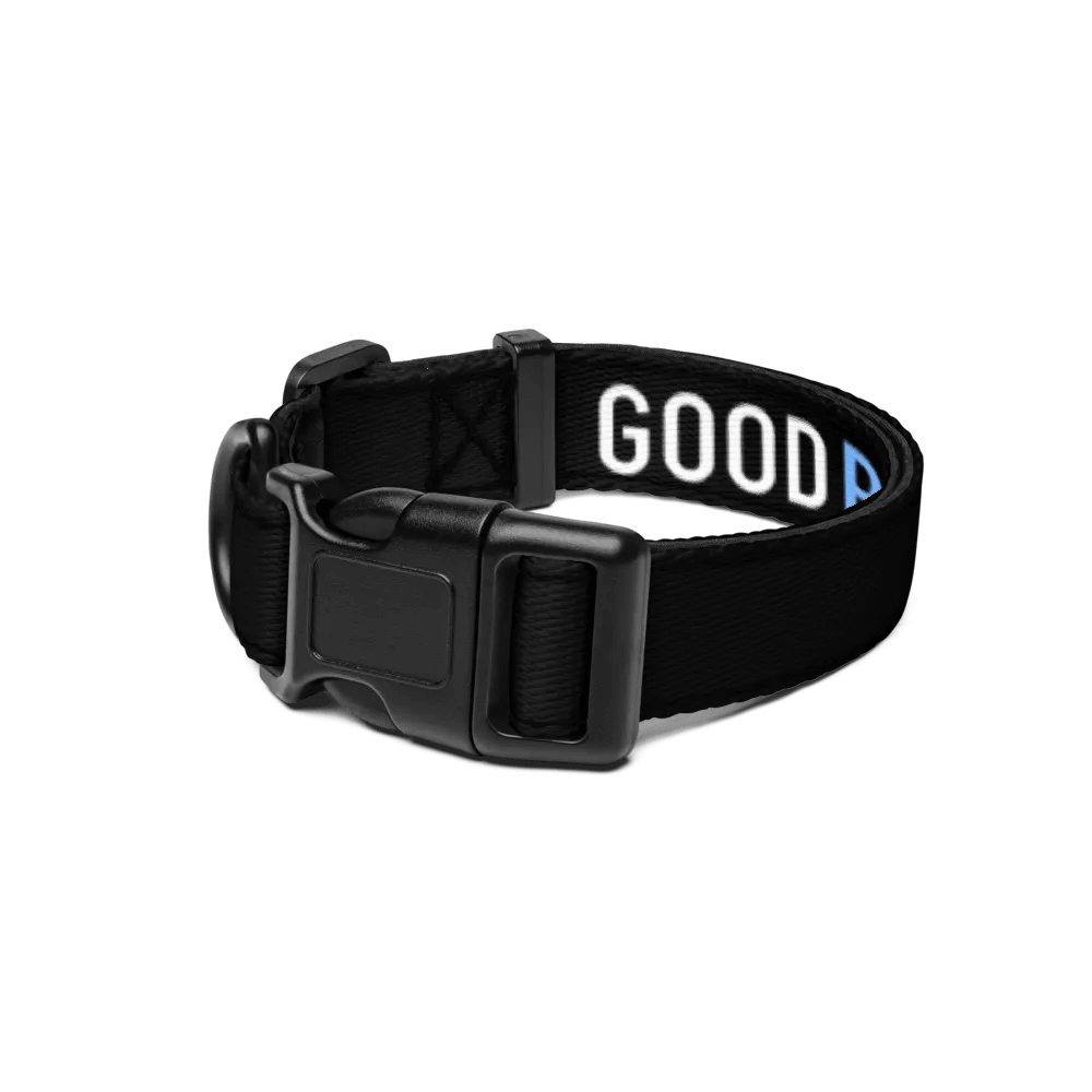 GOOD BOY Collar product image (2)