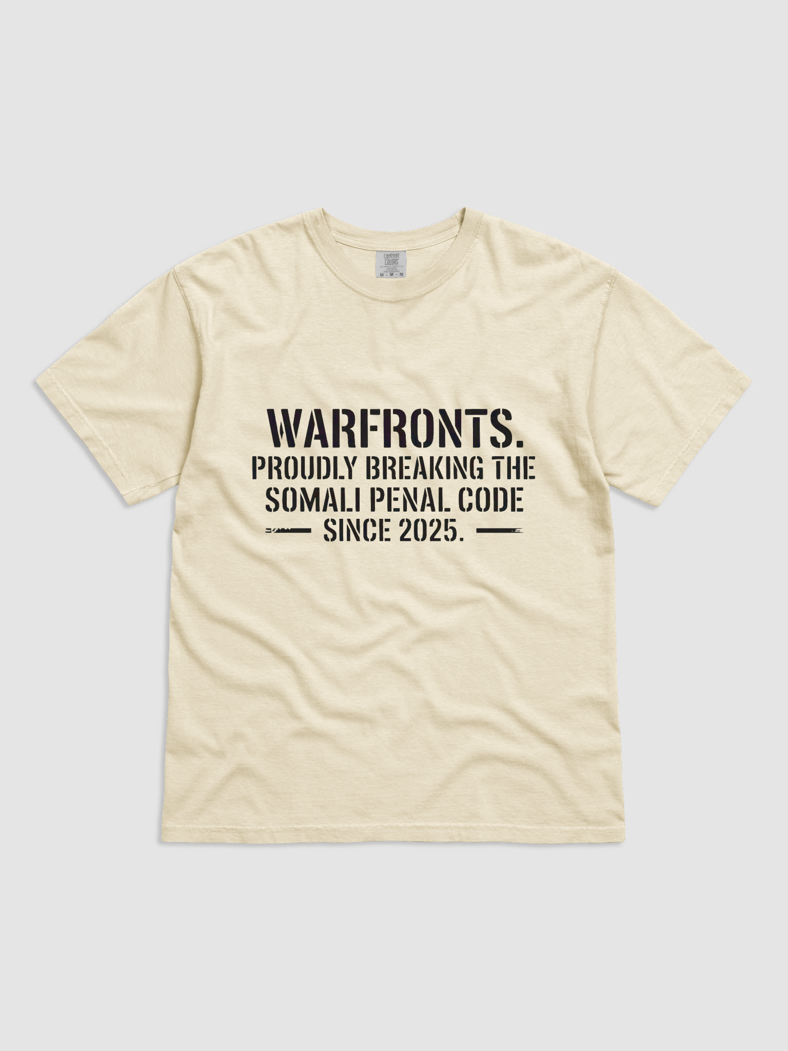 Breaking the Somali Penal Code product image (1)
