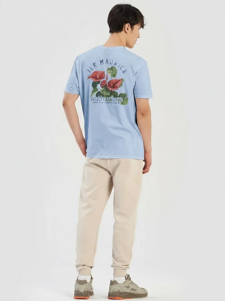 Anthurium 90s –Mauritius product image (1)