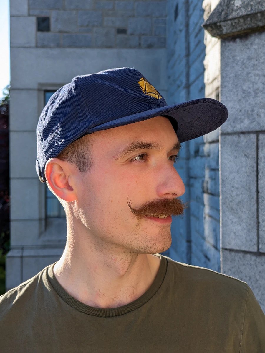 D20 Dad Hat in Corduroy product image (7)