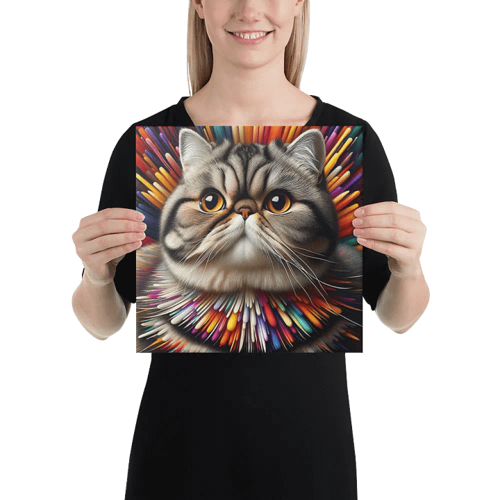 Canvas (in): Exotic Shorthair product image (2)