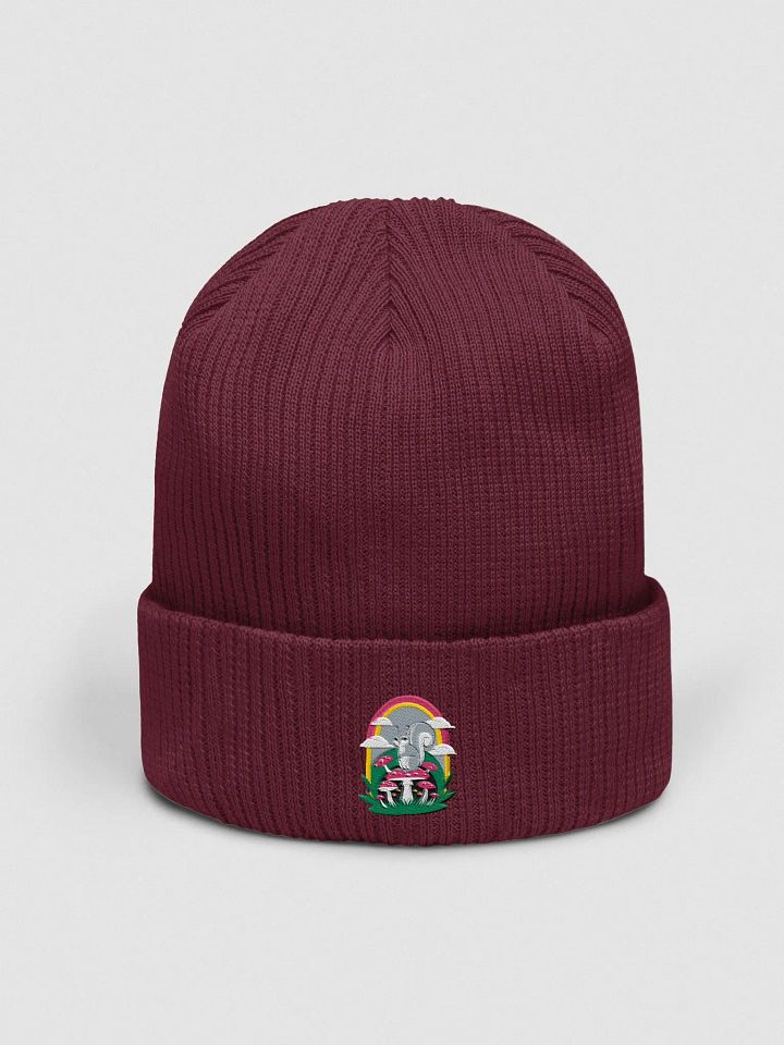 Organic Cotton Embroidered Rainbow Mushroom Squirrel Beanie product image (1)