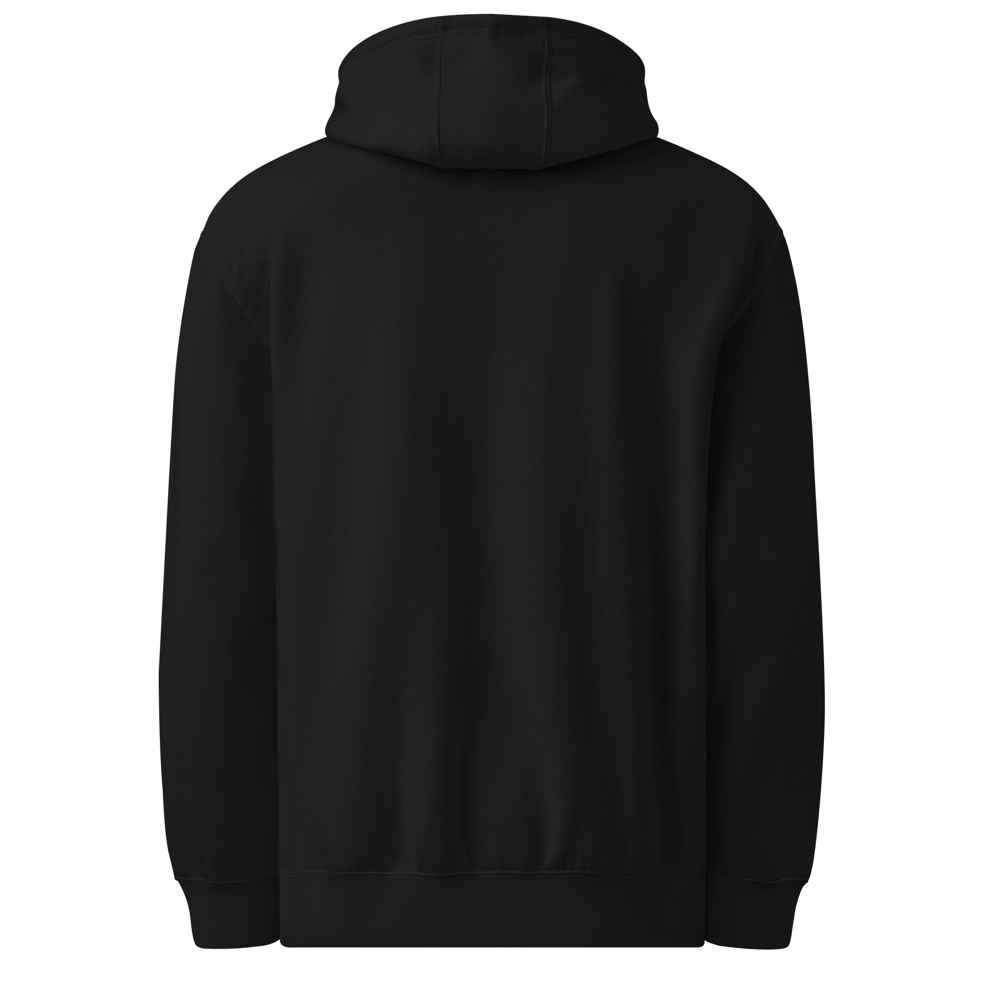 DJ Moy Hoodie - NOT TOO LATE Single product image (2)