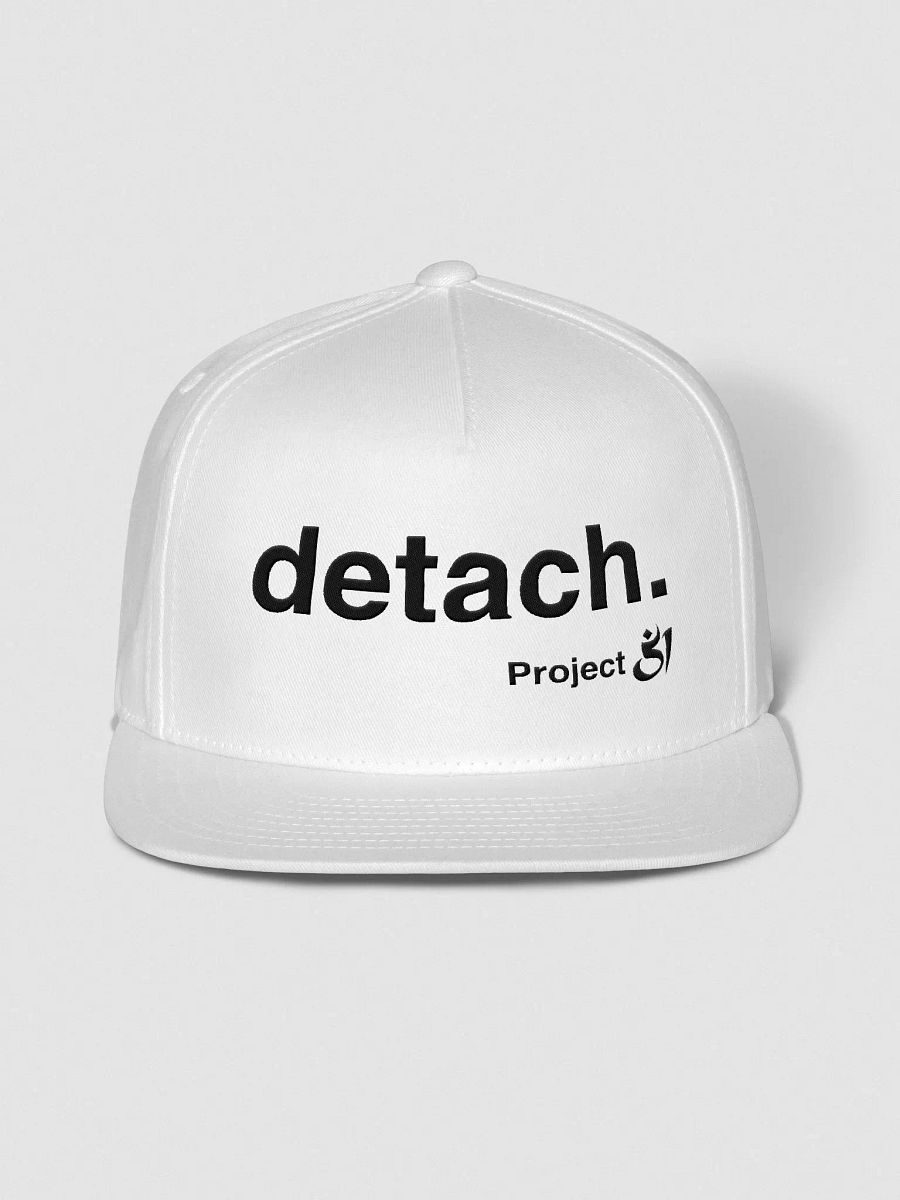 detach. snapback product image (1)