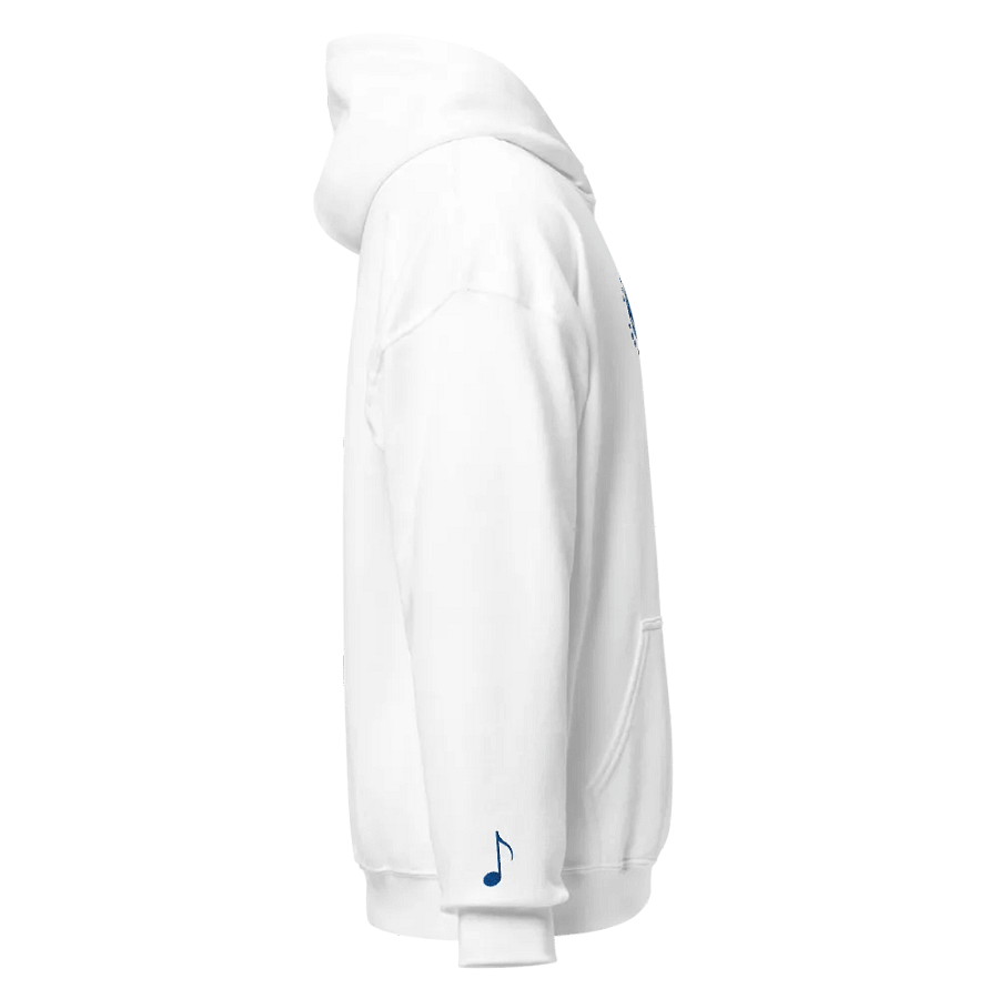 Embroidered "Malfunction" Hoodie product image (6)