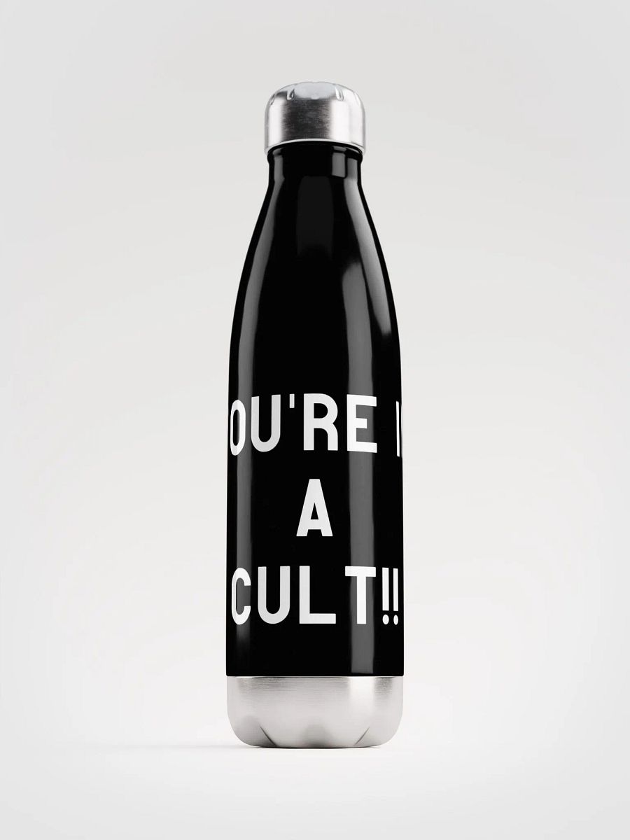 Pris- You're In A Cult -STAINLESS STEEL WATER BOTTLE product image (1)