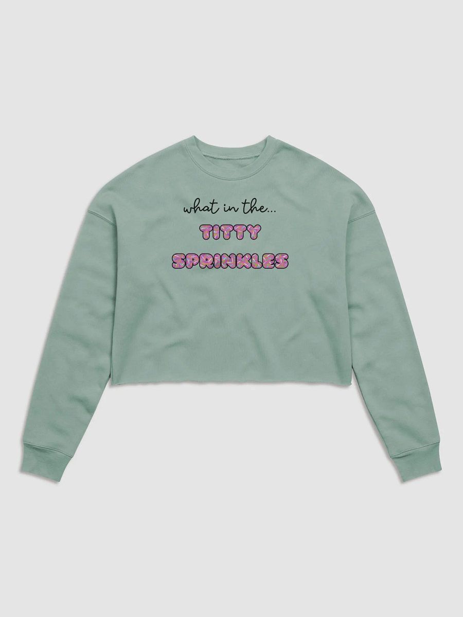 TT Sprinkles Cropped Sweatshirt product image (1)