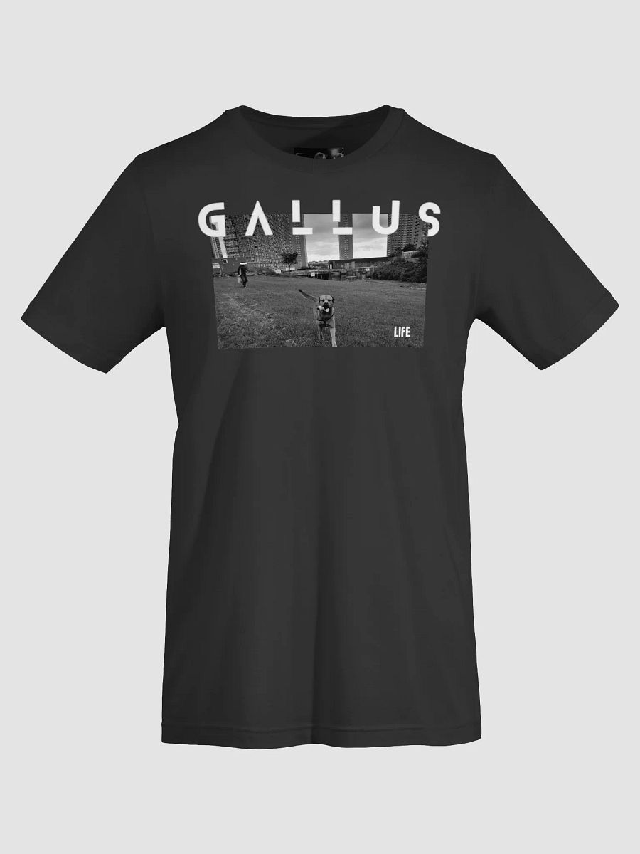 Gallus 2025 Life Collection product image (73)