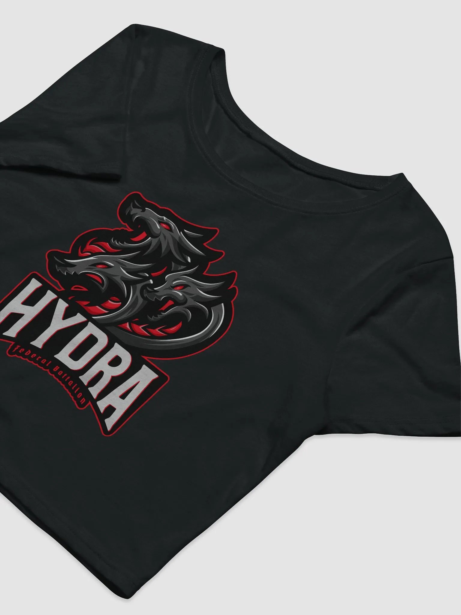 FHB Women's Crop Tee product image (5)