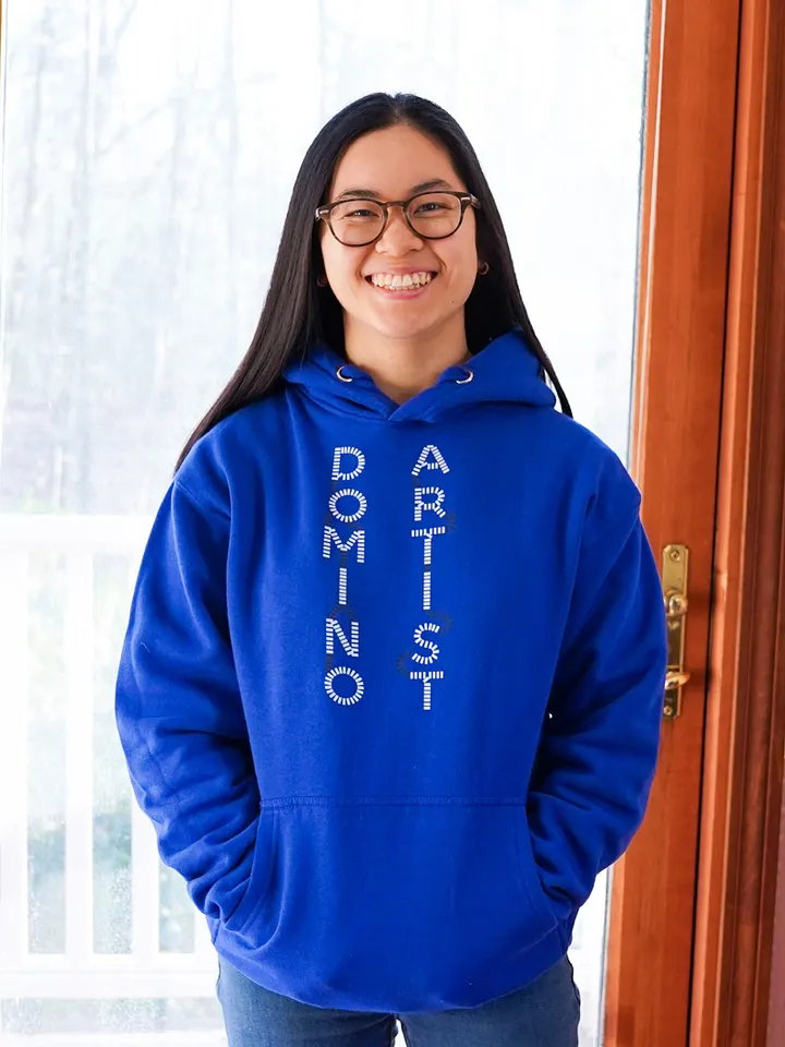 Domino Artist Hoodie product image (1)