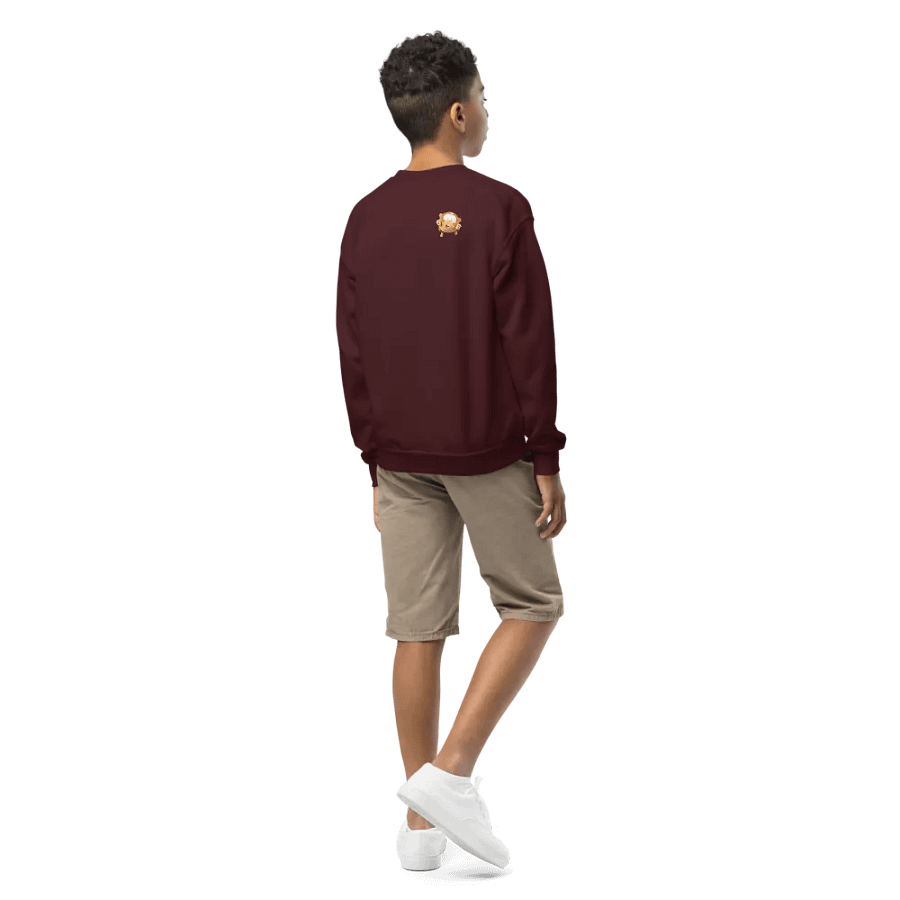 Professor Eggtop's Extraordinary Youth Sweatshirt product image (12)