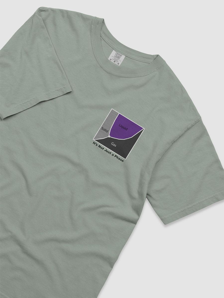 It's Not Just a Phase- Ace T Shirt product image (26)