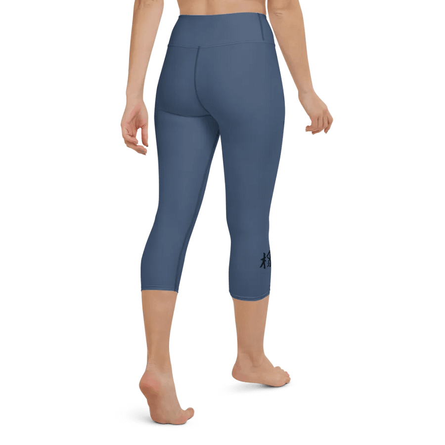 BUSHIDO - Leggings - bwbds1 product image (4)