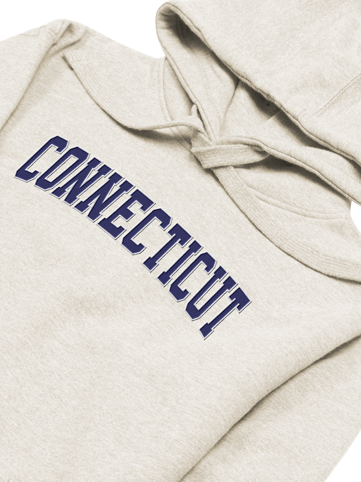 Connecticut Vintage Stylish Embroidery Unisex Premium Hoodie product image (2)