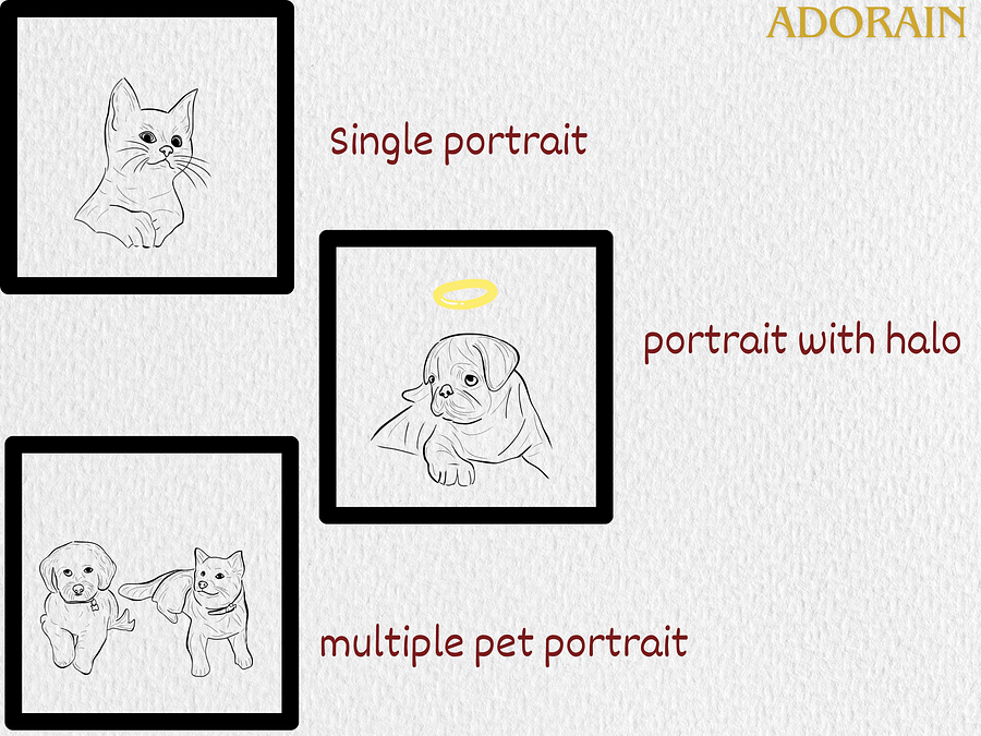 pet portrait custom drawing from photo product image (8)