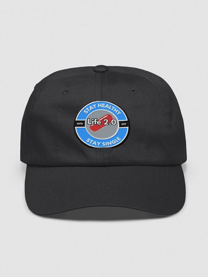 Life 2.0 Hat product image (1)
