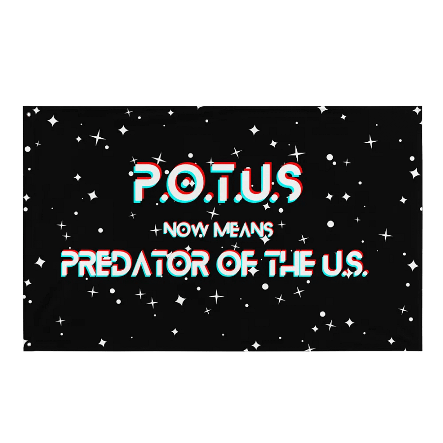 Resistors, What POTUS Now Means, Flag product image (1)