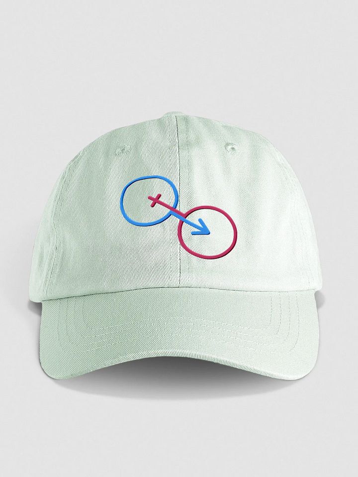 Traditional Gender Intersection Pastel Dad Hat product image (1)