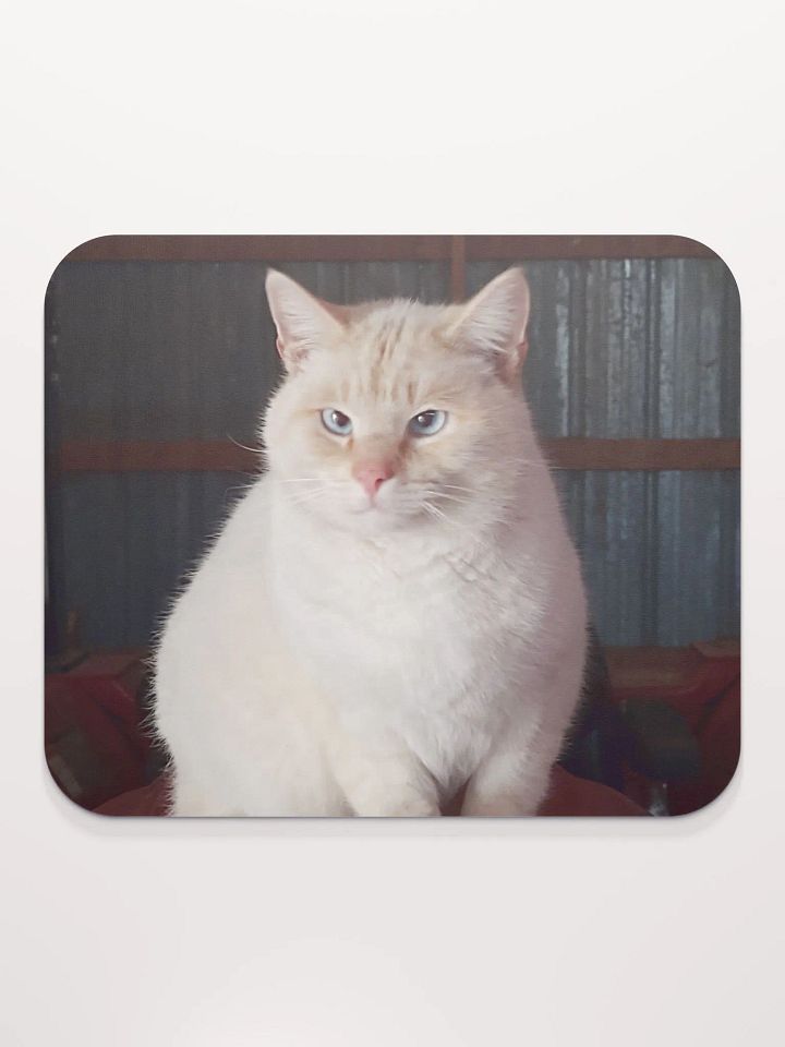 Paws The Cat Mouse Pad product image (2)