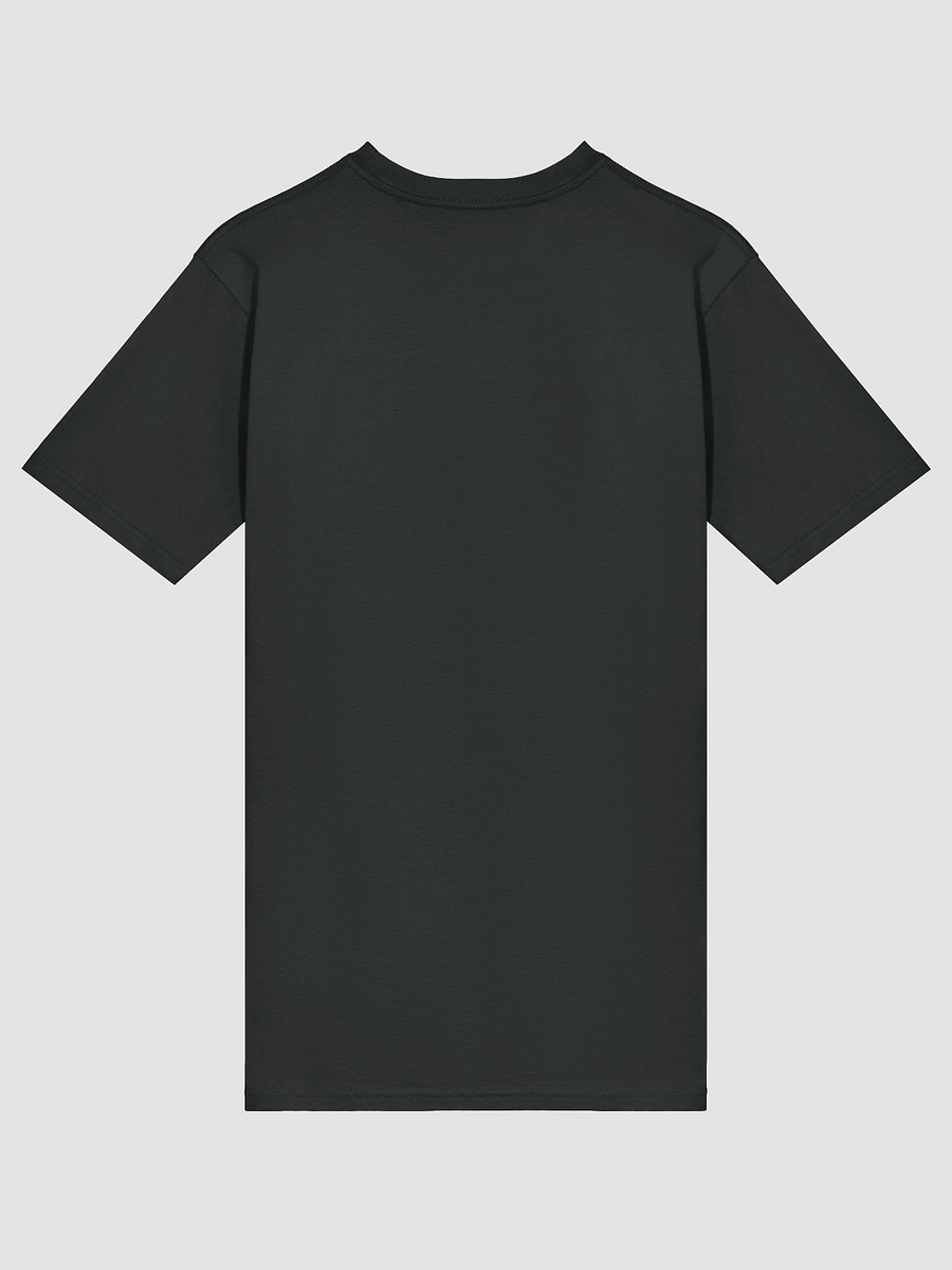 Down Fall River Black Tee product image (4)