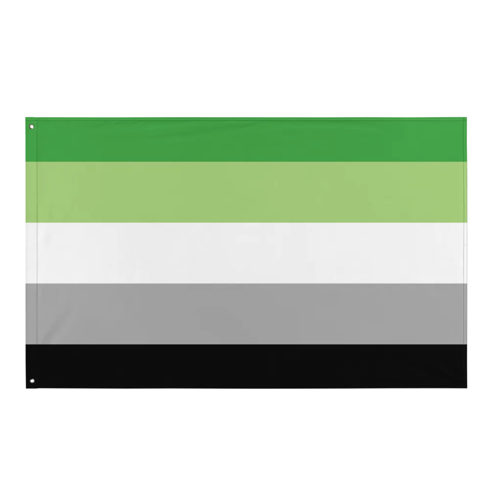 Aromantic Flag product image (1)