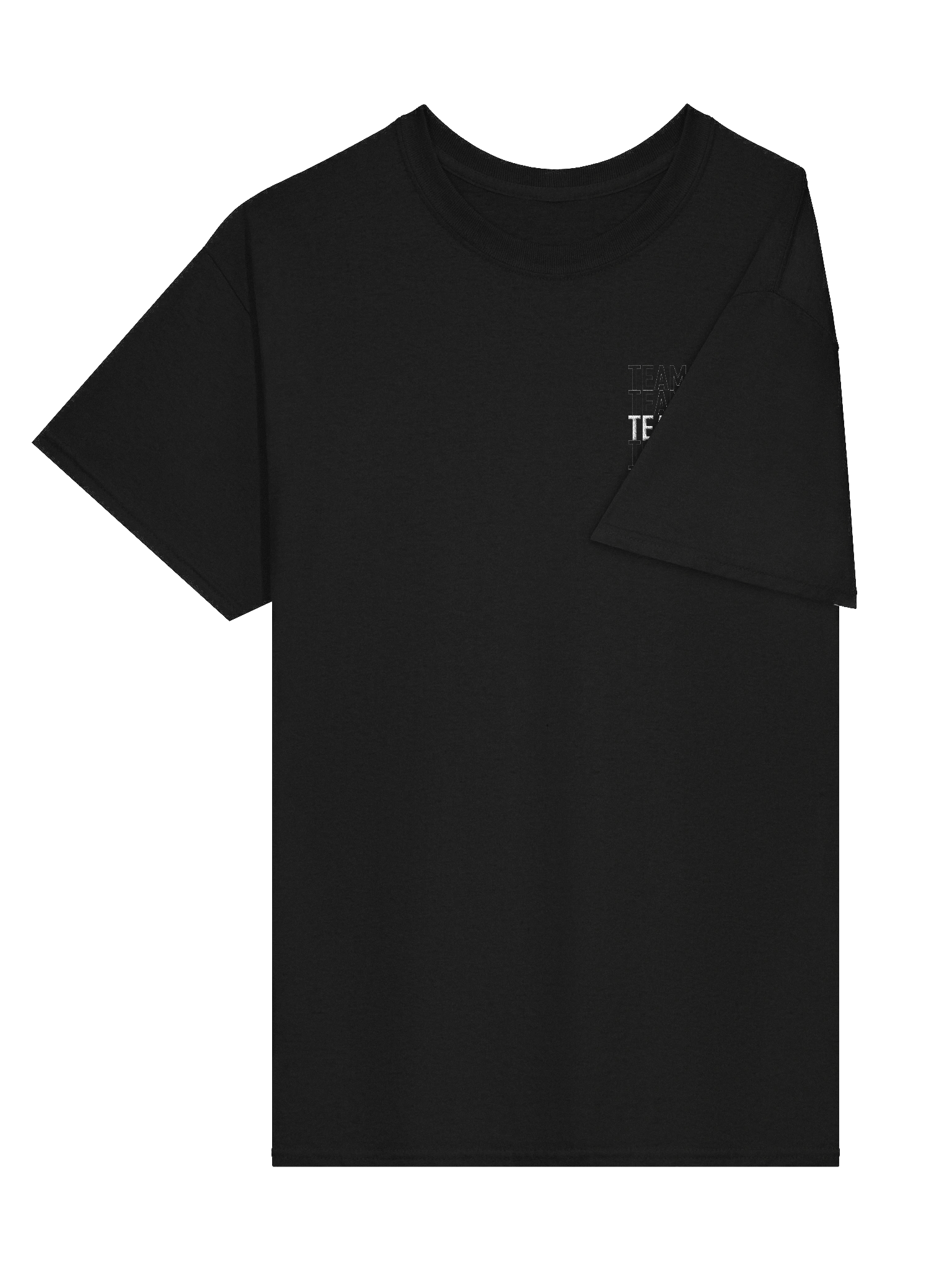 Team Ashen Embroidered Tee product image (3)