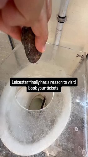 Get your travel to let's booked! Leicester outdid themselves this time!
#leicestercity #leicesterbusiness #leicestershopping ...