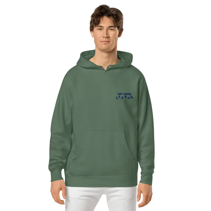 *not* mentally linear (L.C. lake design) embroidered pigment hoodie product image (13)