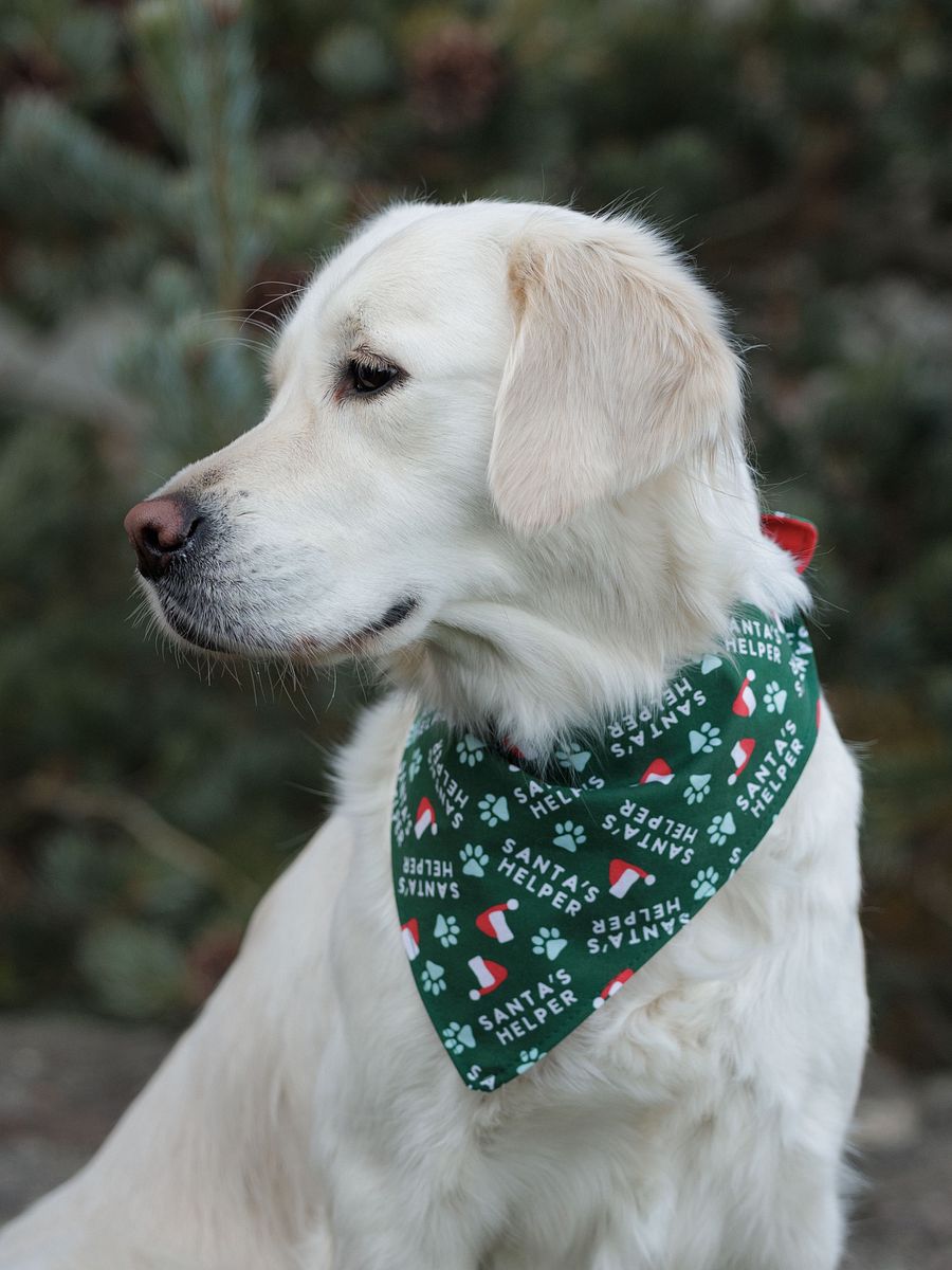 Santas Helper Bandana product image (1)