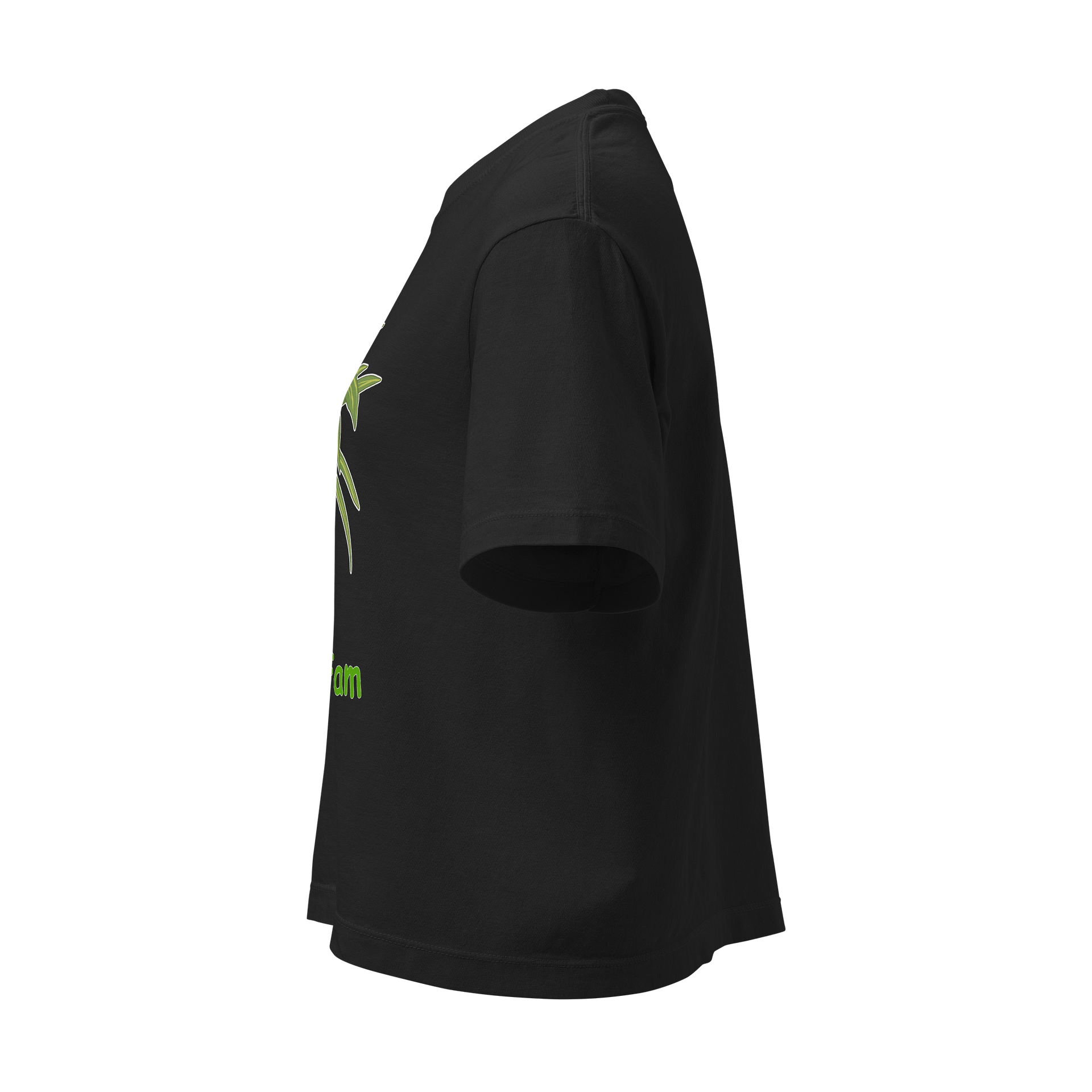 Women's Boo Boo Fam Boxy Tee product image (3)