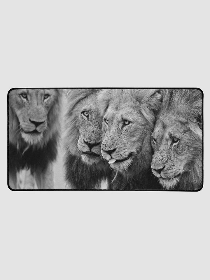 MANTIMAHLE Male Lions 2019 Skukuza product image (1)