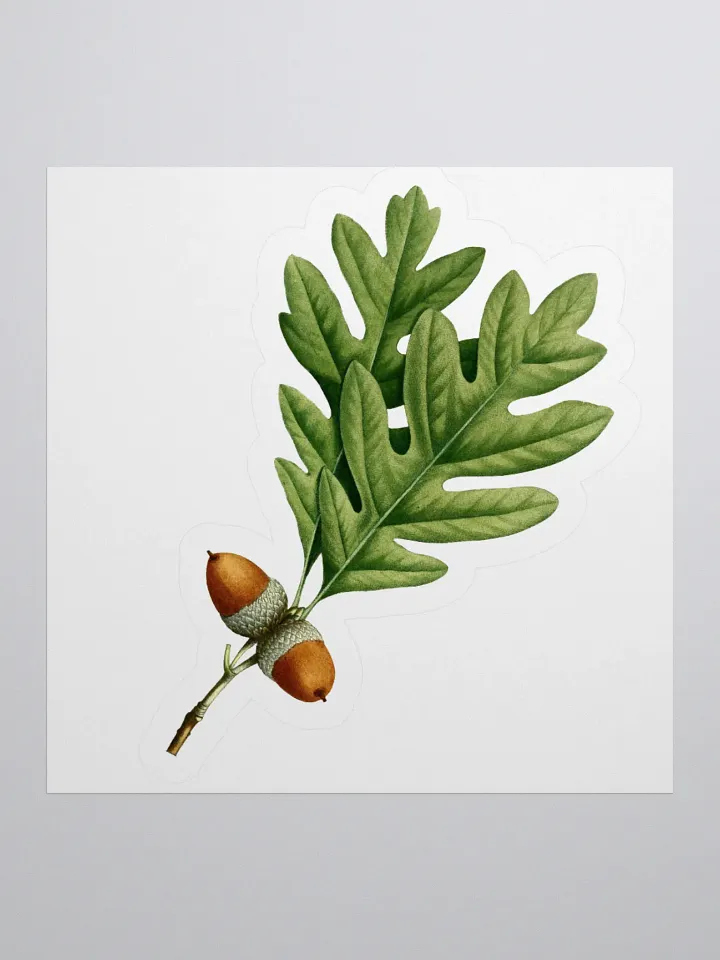 White Oak Sticker product image (1)
