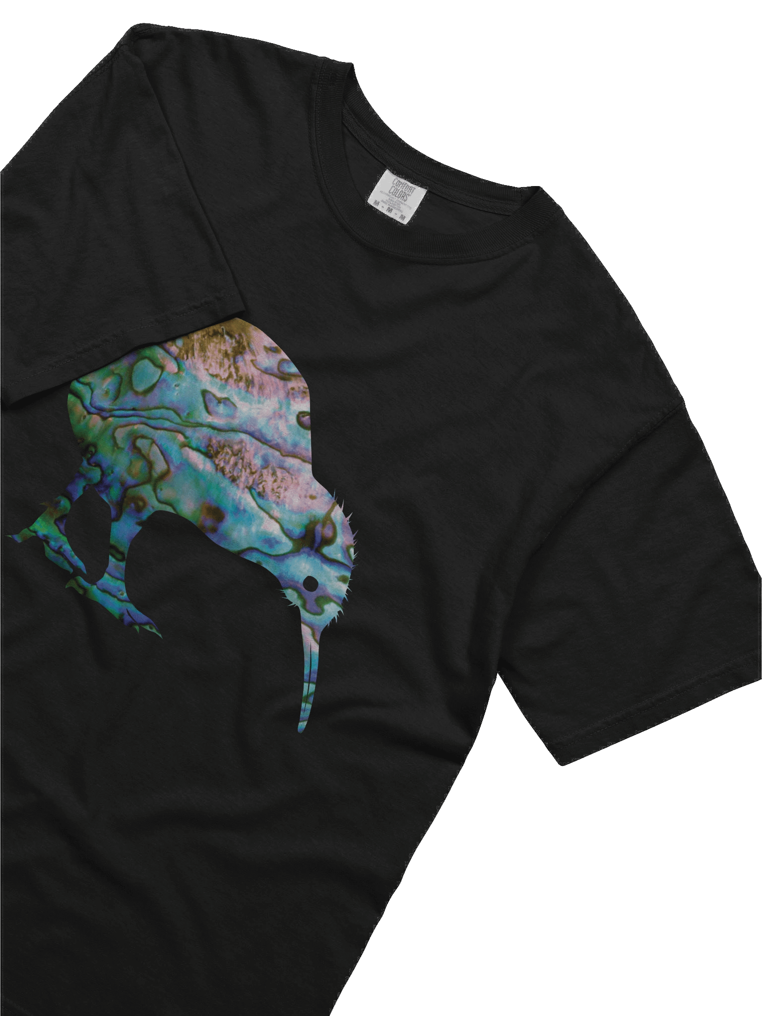 NEW ZEALAND PAUA KIWI BIRD product image (21)