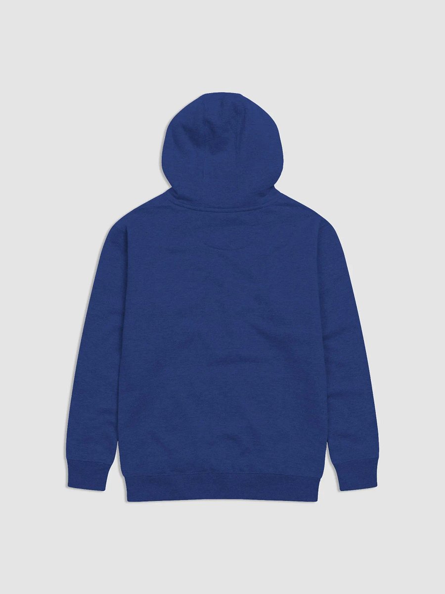 *SIGHS IN RICH* Hoodie product image (8)