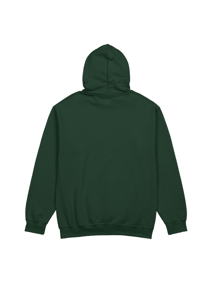 Divine Healing Hoodie product image (6)