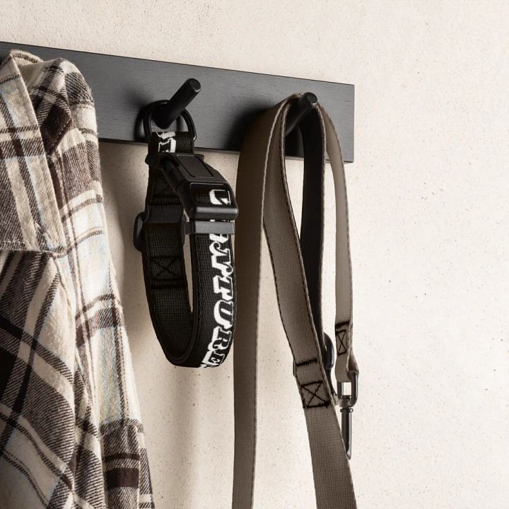 Pet Collar with Heartfelt Words ⚫️ ⚪️ Adventures Await Together product image (1)