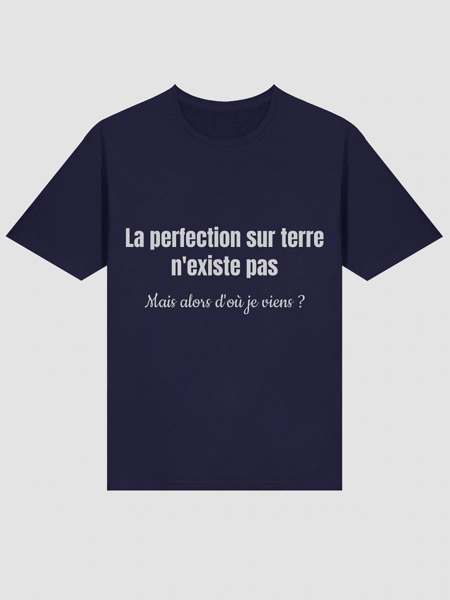 La perfection sur Terre n'existe pas product image (35)