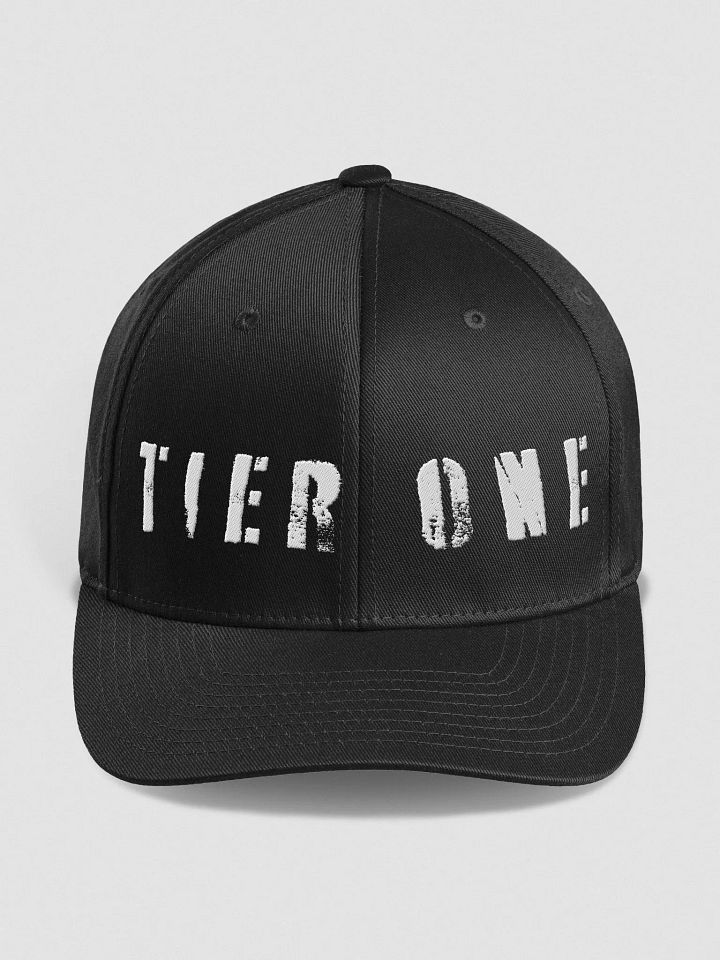 Bosley Is Dempsey Flex Fit Hat product image (4)