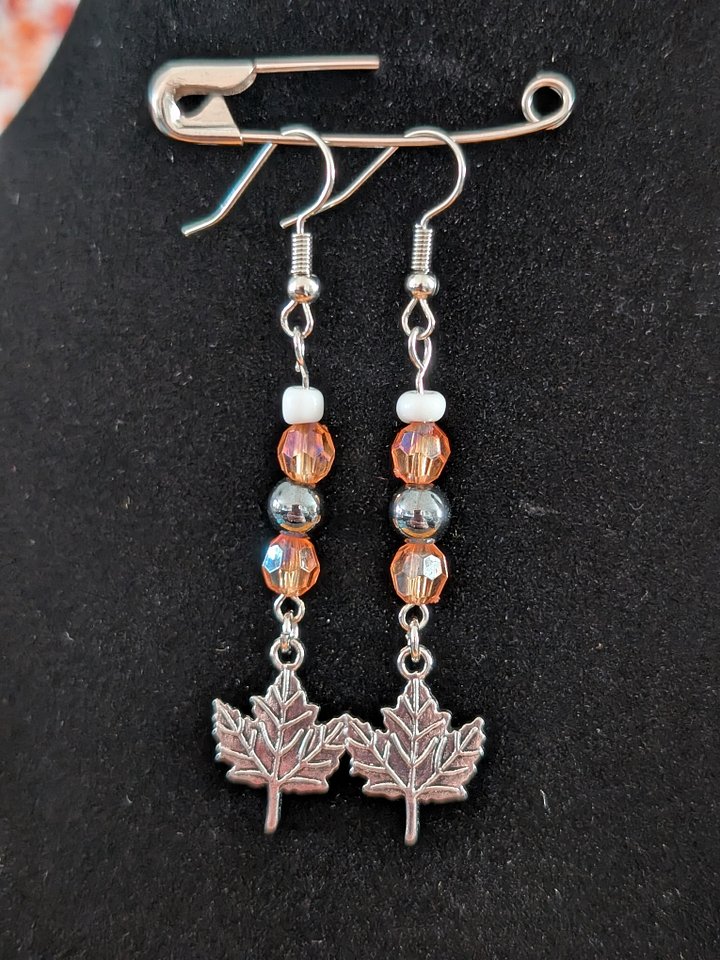 Fall Vibes Earrings! product image (2)
