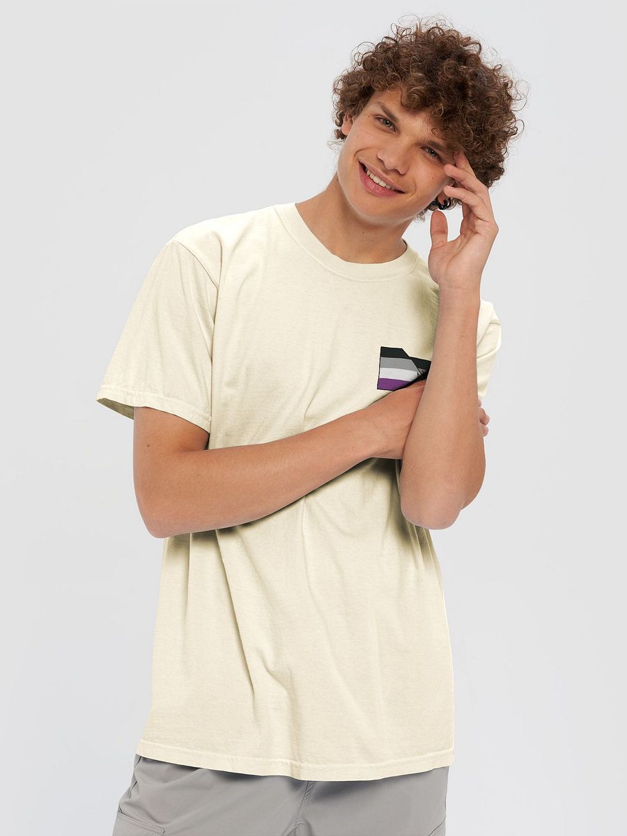 Faulted Pride Flags- Ace T Shirt product image (17)