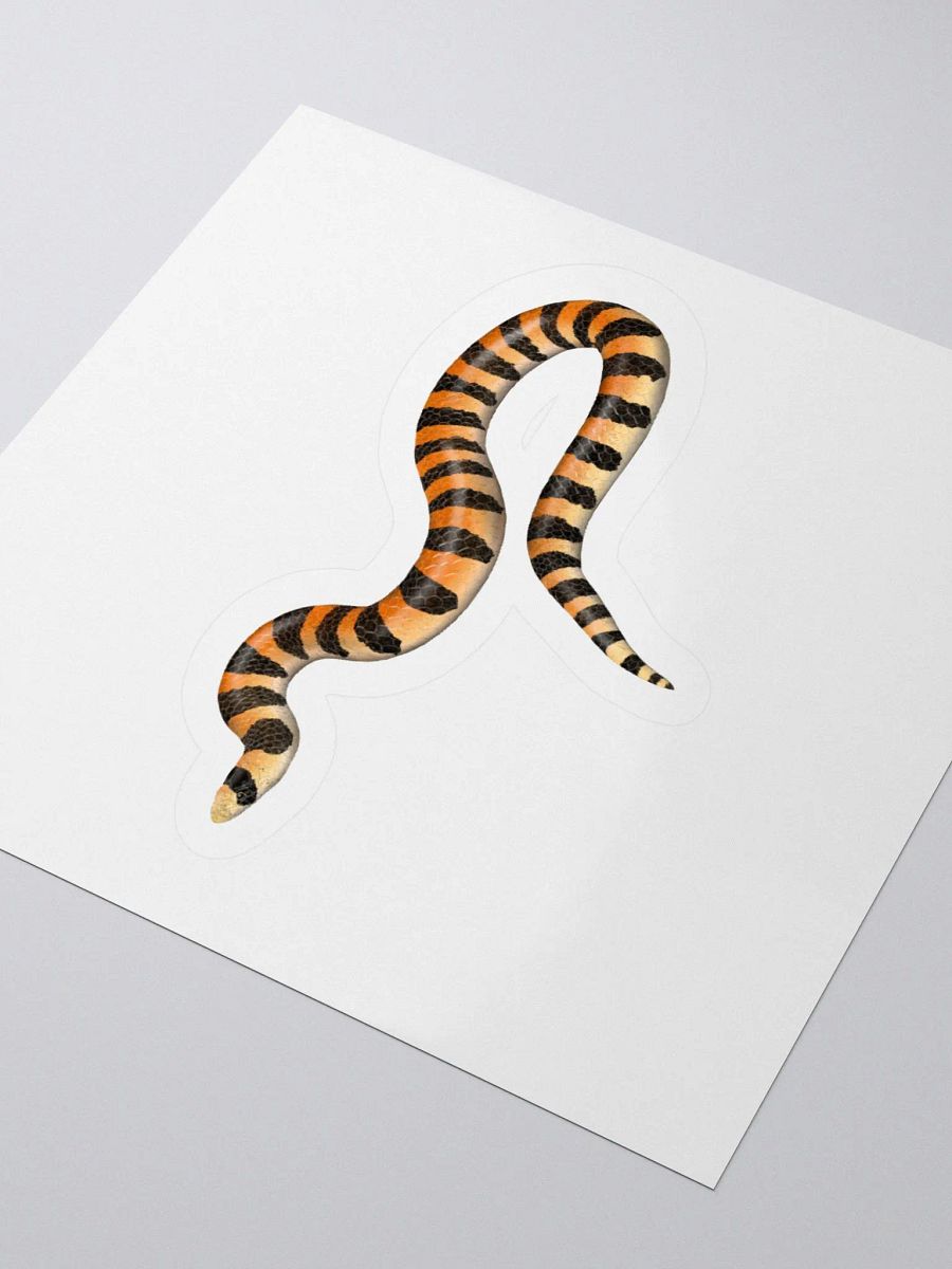 Die-Cut Sticker – Banded Sandsnake product image (3)