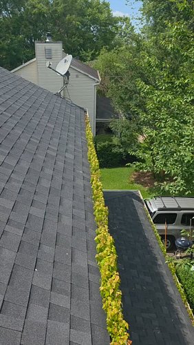 Protect your home, keep it clear and bright, 
With our gutter cleaning, it’ll be just right. 
Prevent the damage that you fea...