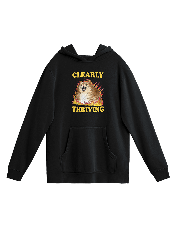 Clearly Thriving - Hoodie product image (1)