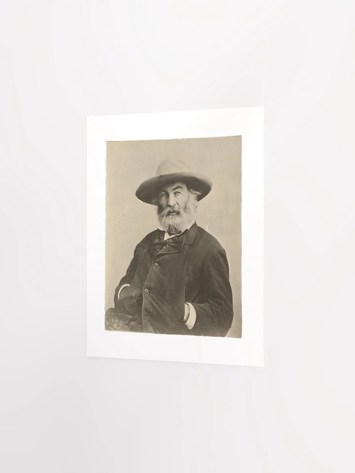 Walt Whitman by Mathew Brady? (c. 1870) - Print product image (4)