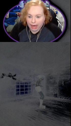 I've been replaying the Project Zero (a.k.a. Fatal Frame) games for the first time since I was a teenager. It has certainly b...